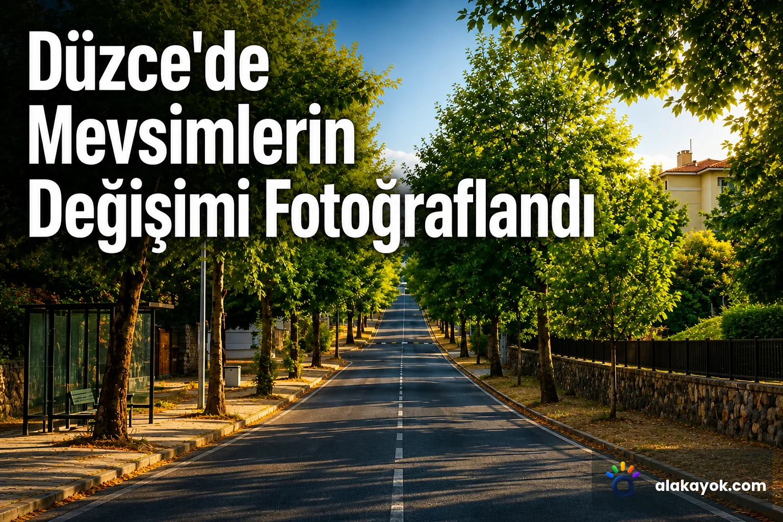 Düzce'de Mevsimlerin Değişimi Fotoğraflandı
