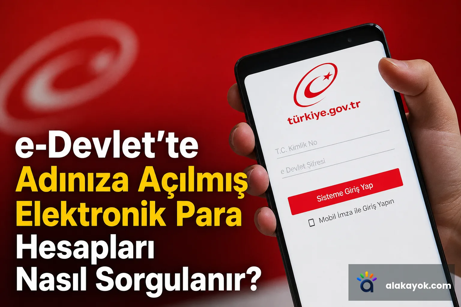 e-Devlet’te Adınıza Açılmış Elektronik Para Hesapları Nasıl Sorgulanır?