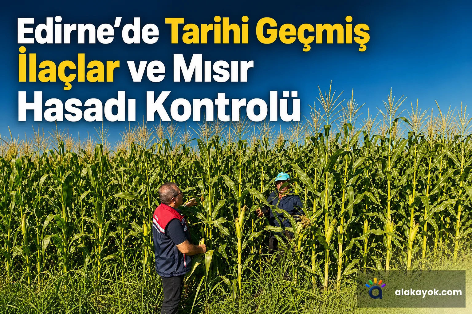 Edirne'de Tarihi Geçmiş İlaçlar ve Mısır Hasadı Kontrolü