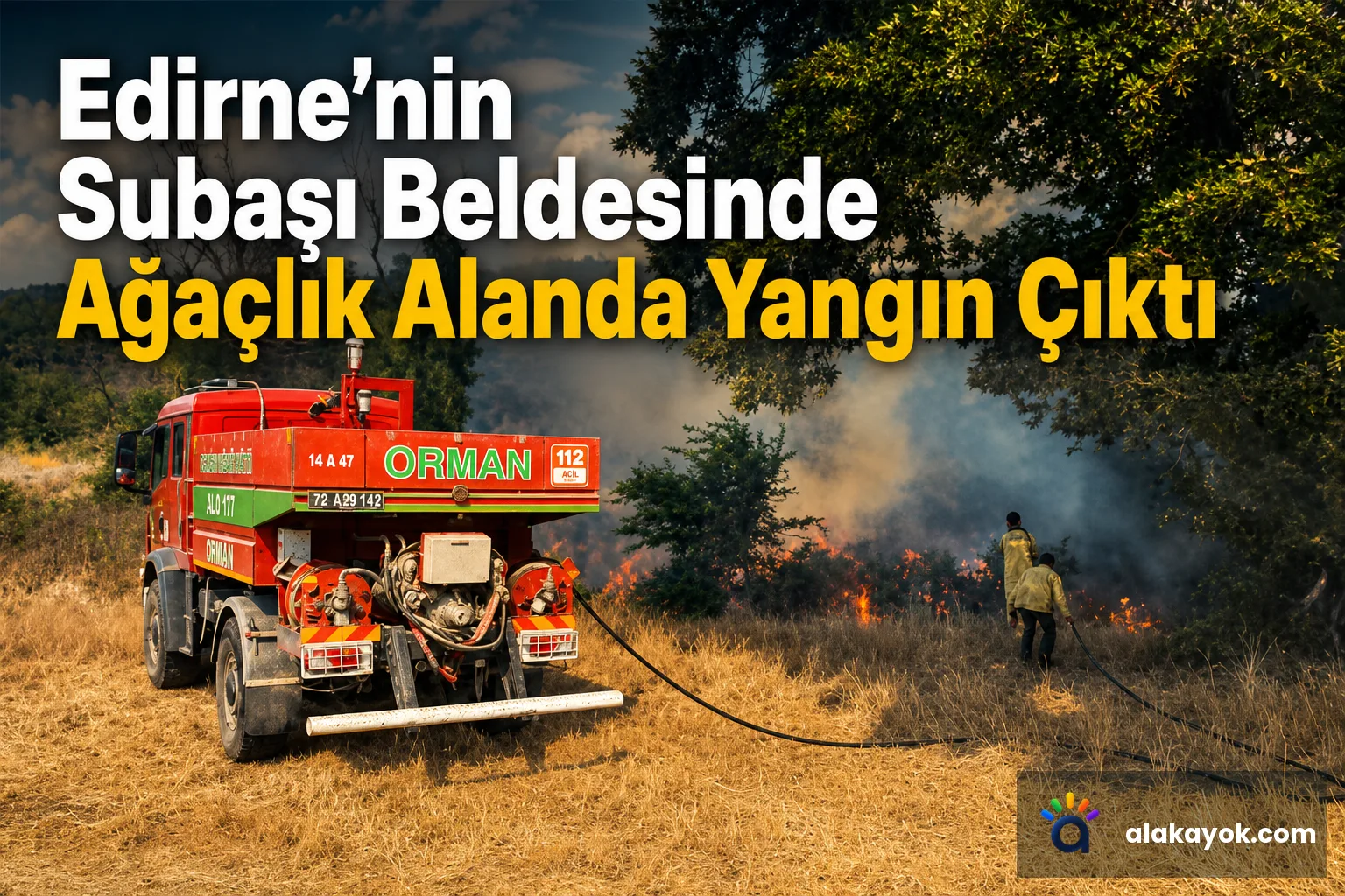 Edirne'nin Subaşı Beldesinde Ağaçlık Alanda Yangın Çıktı