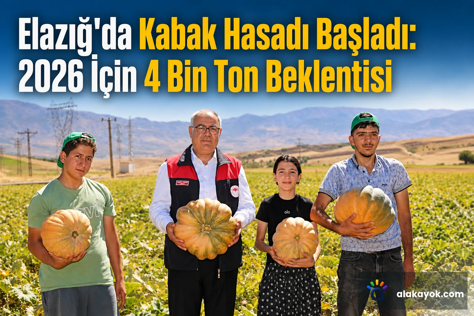 Elazığ'da Kabak Hasadı Başladı: 2026 İçin 4 Bin Ton Beklentisi