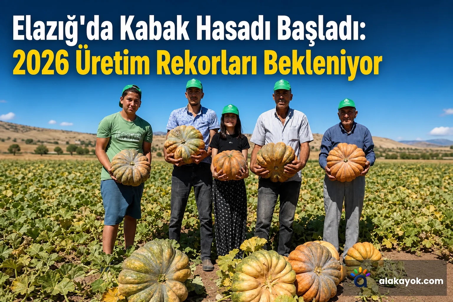 Elazığ'da Kabak Hasadı Başladı: 2026 Üretim Rekorları Bekleniyor