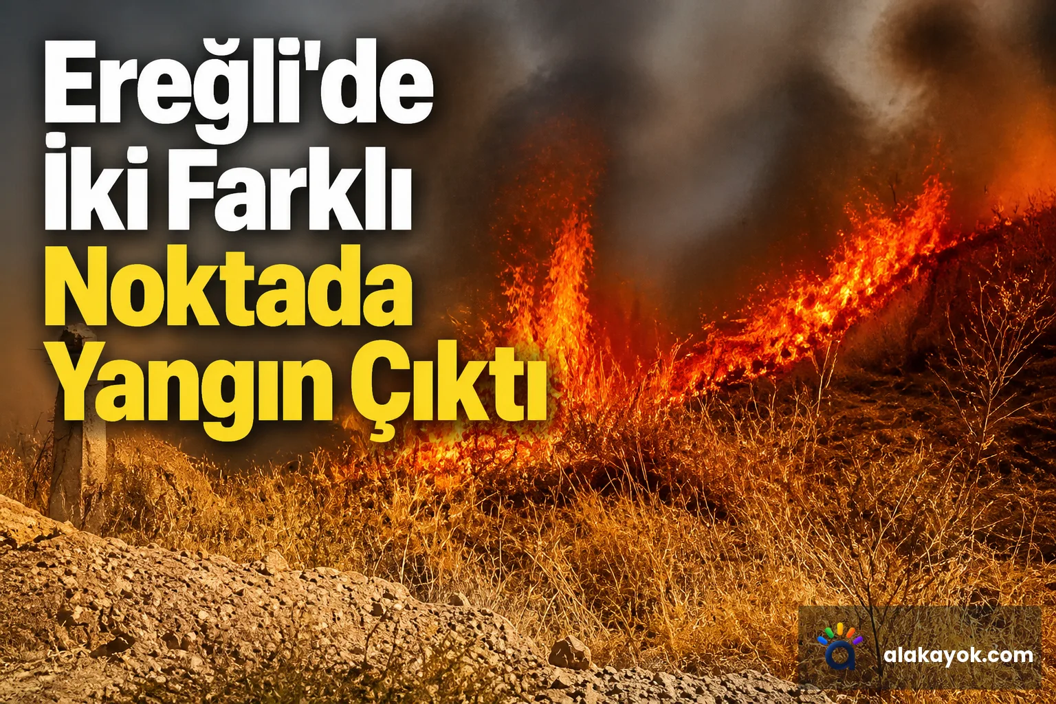 Ereğli'de İki Farklı Noktada Yangın Çıktı