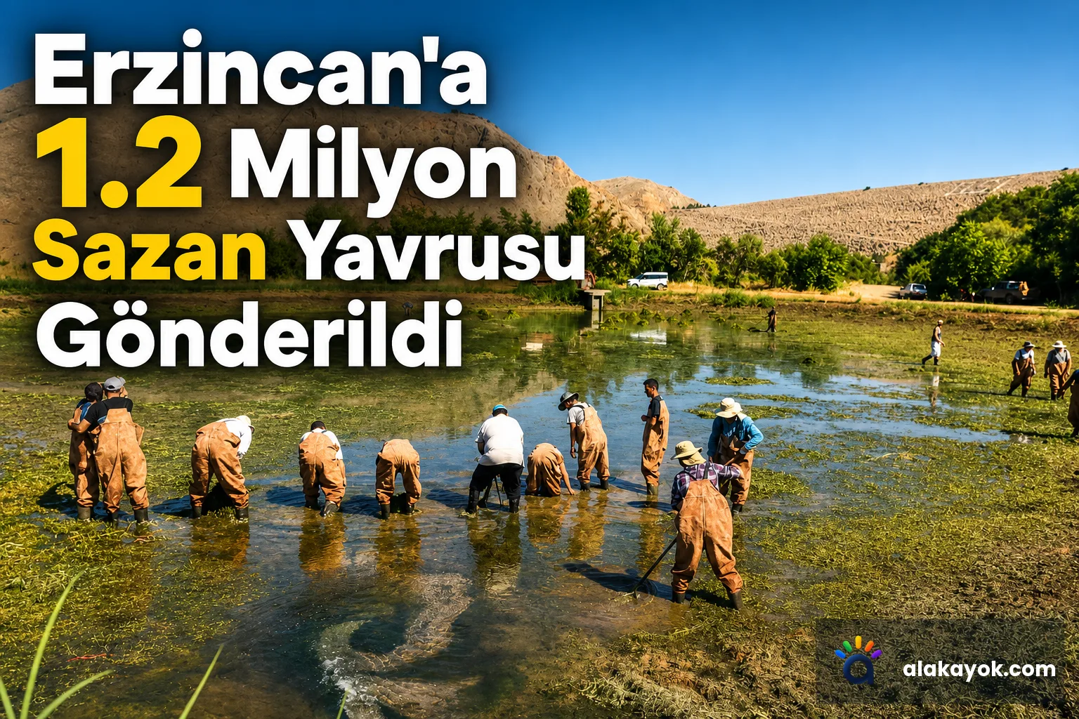 Erzincan'a 1.2 Milyon Sazan Yavrusu Gönderildi
