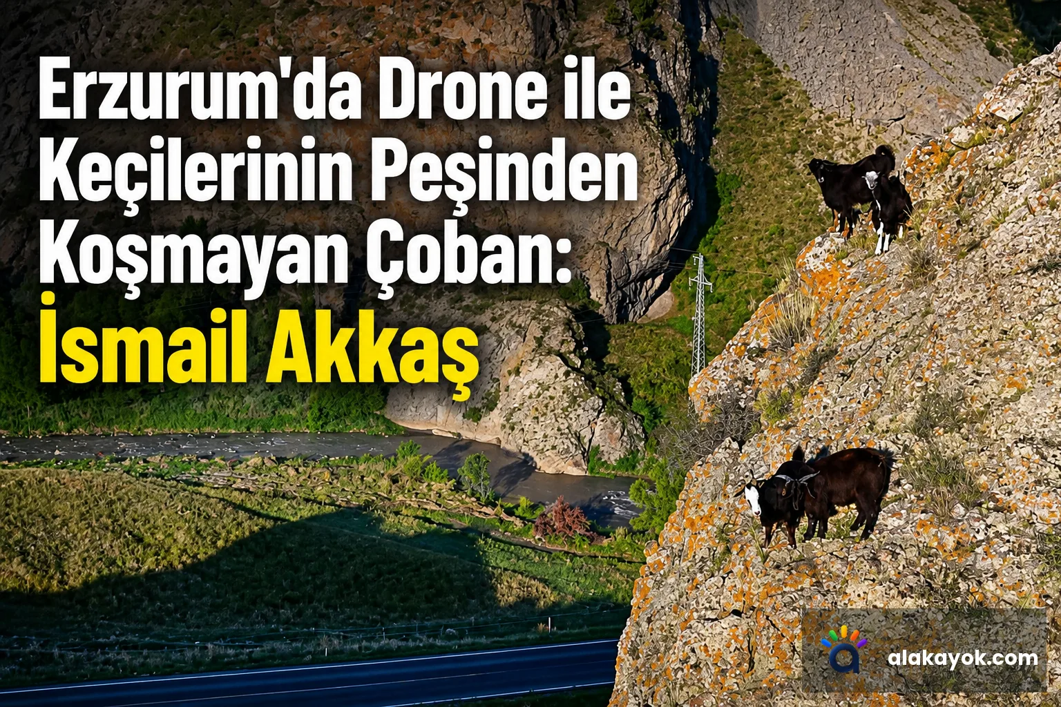 Erzurum'da Drone ile Keçilerinin Peşinden Koşmayan Çoban: İsmail Akkaş