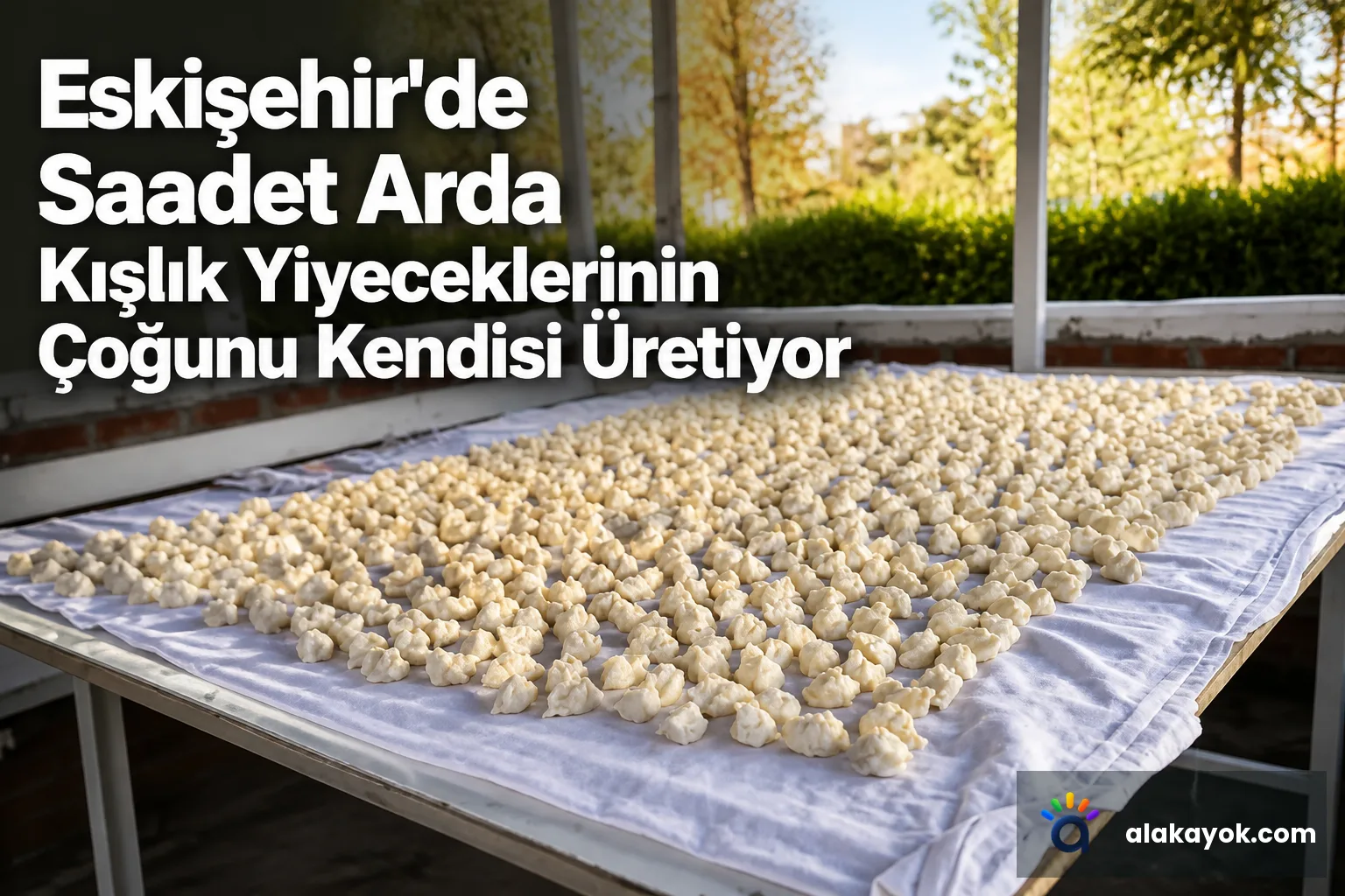Eskişehir'de Saadet Arda Kışlık Yiyeceklerinin Çoğunu Kendisi Üretiyor