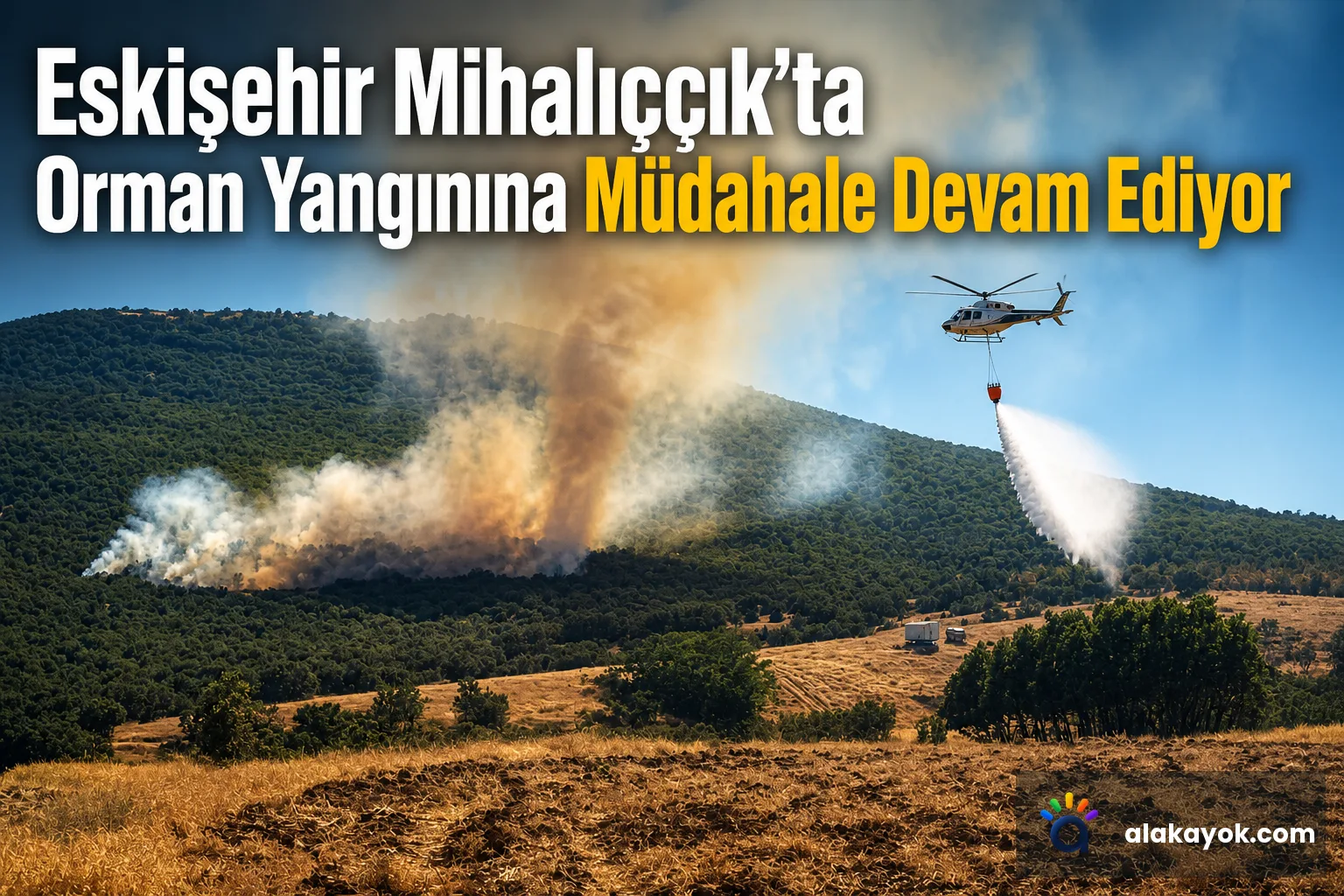 Eskişehir Mihalıççık'ta Orman Yangınına Müdahale Devam Ediyor