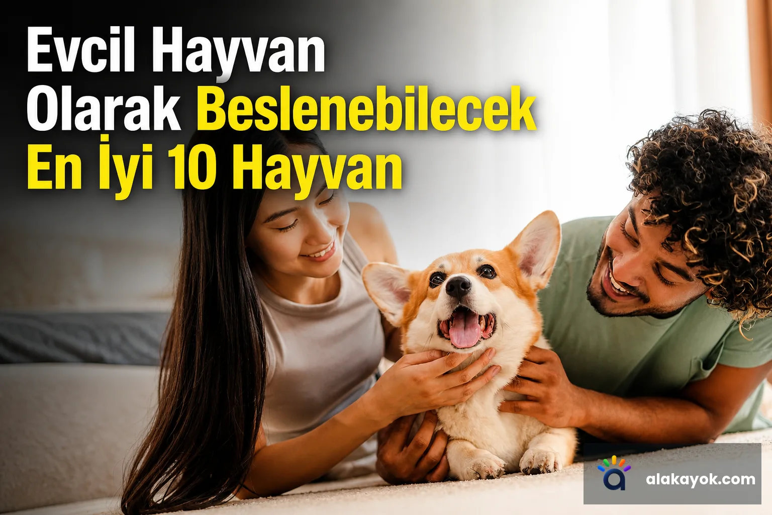 Evcil Hayvan Olarak Tutulabilecek En İyi 10 Hayvan