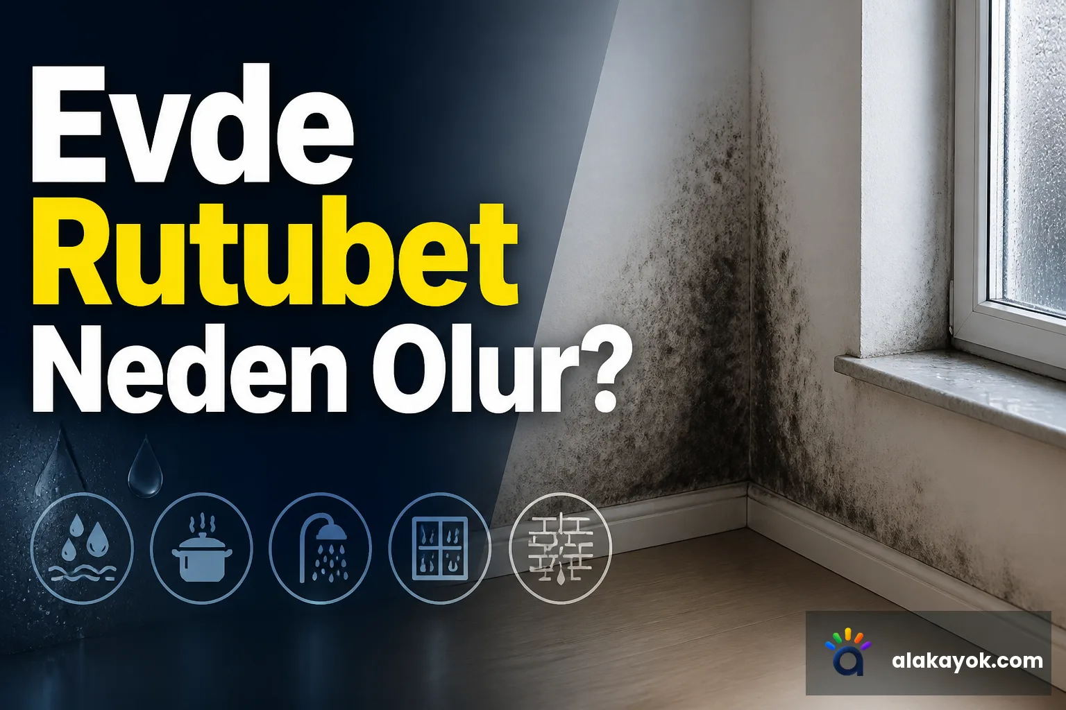 Evde Rutubet Neden Olur?