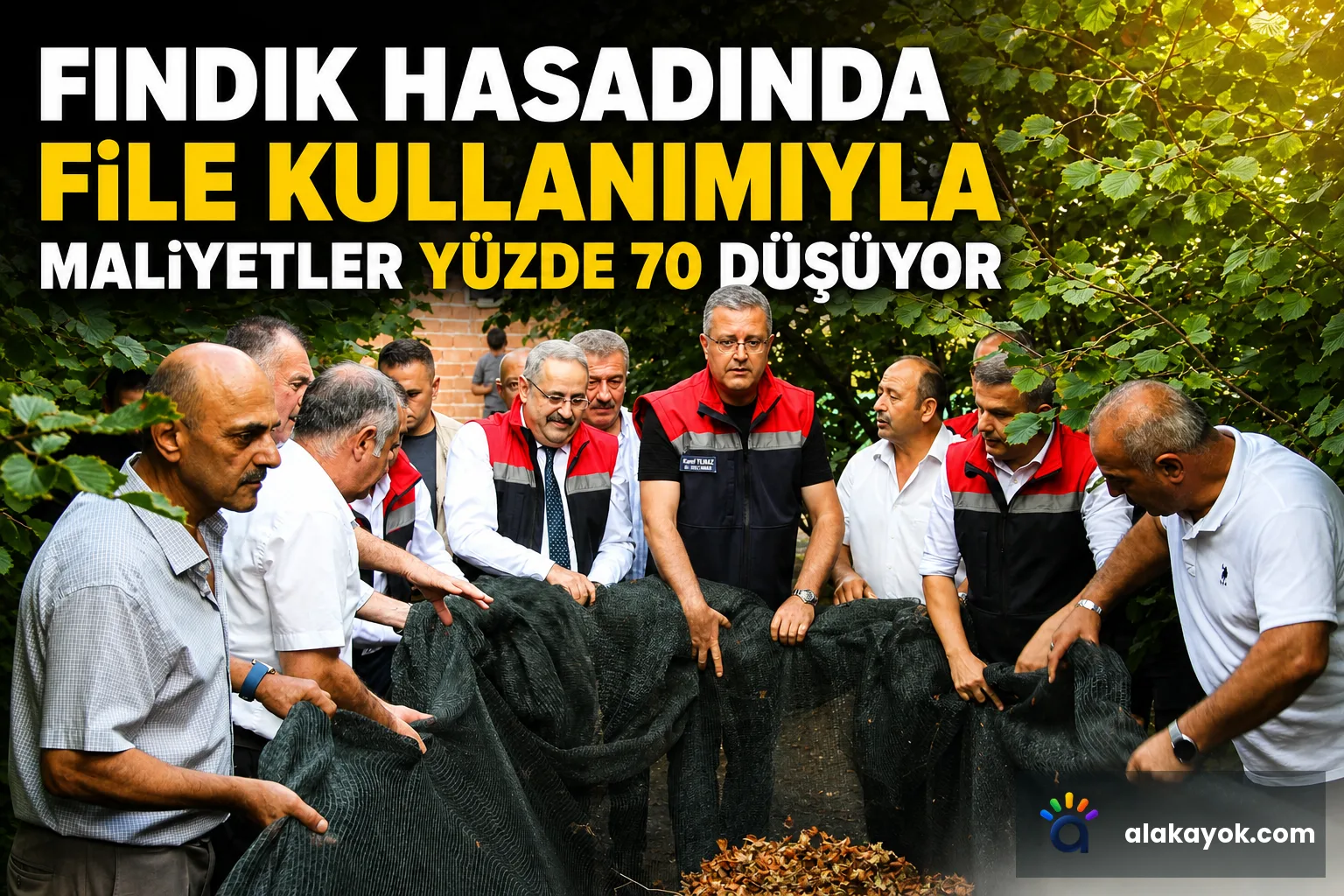 Fındık Hasadında File Kullanımıyla Maliyetler Yüzde 70 Düşüyor