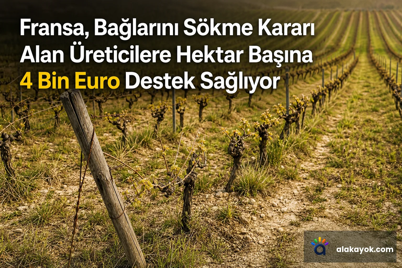 Fransa, Bağlarını Sökme Kararı Alan Üreticilere Hektar Başına 4 Bin Euro Destek Sağlıyor
