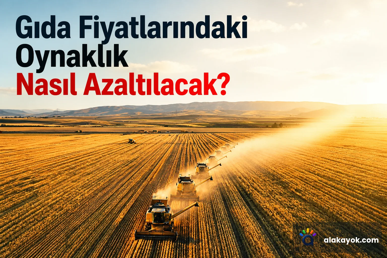 Gıda Fiyatlarındaki Oynaklık Nasıl Azaltılacak?