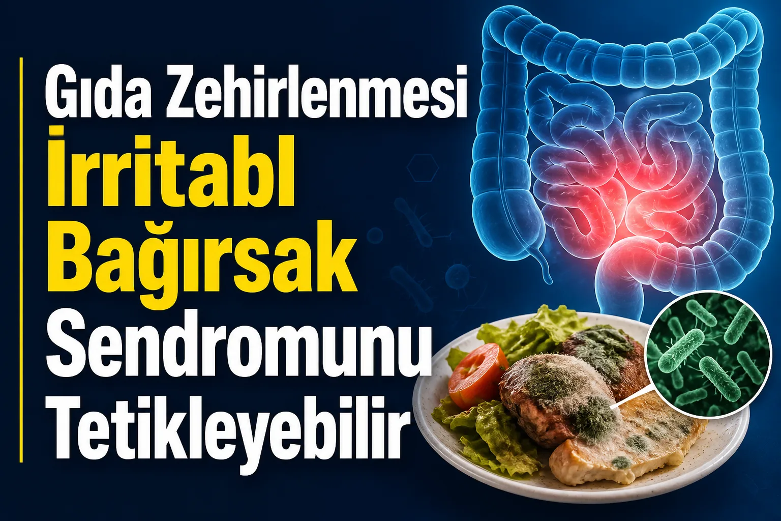 Gıda Zehirlenmesi İrritabl Bağırsak Sendromunu Tetikleyebilir