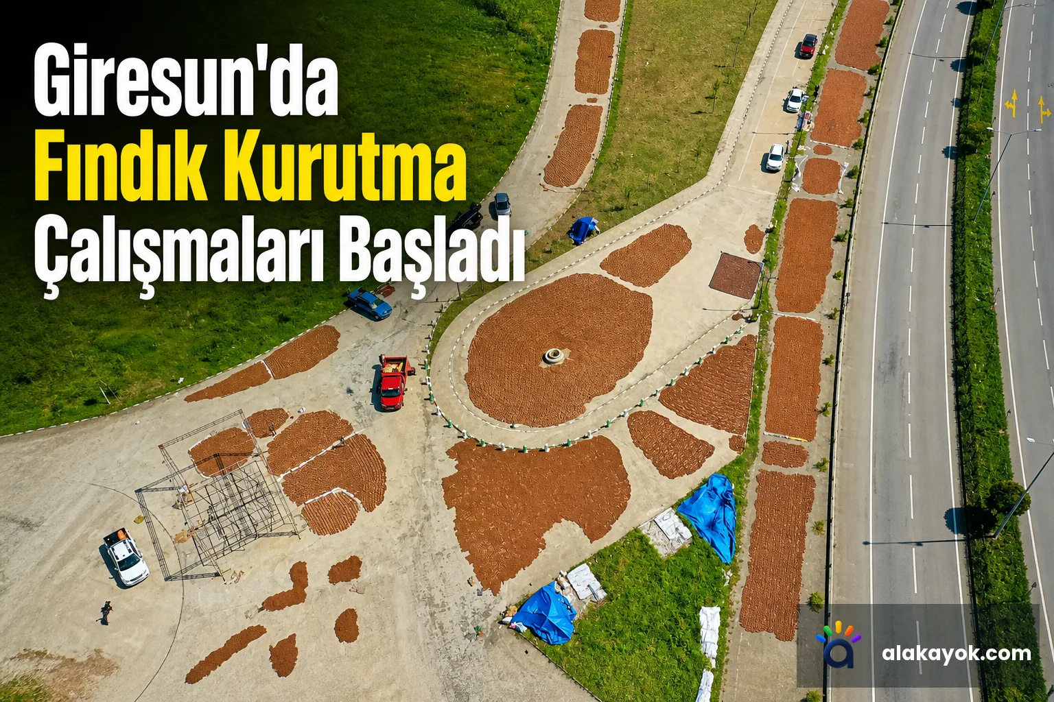 Giresun'da Fındık Kurutma Çalışmaları Başladı