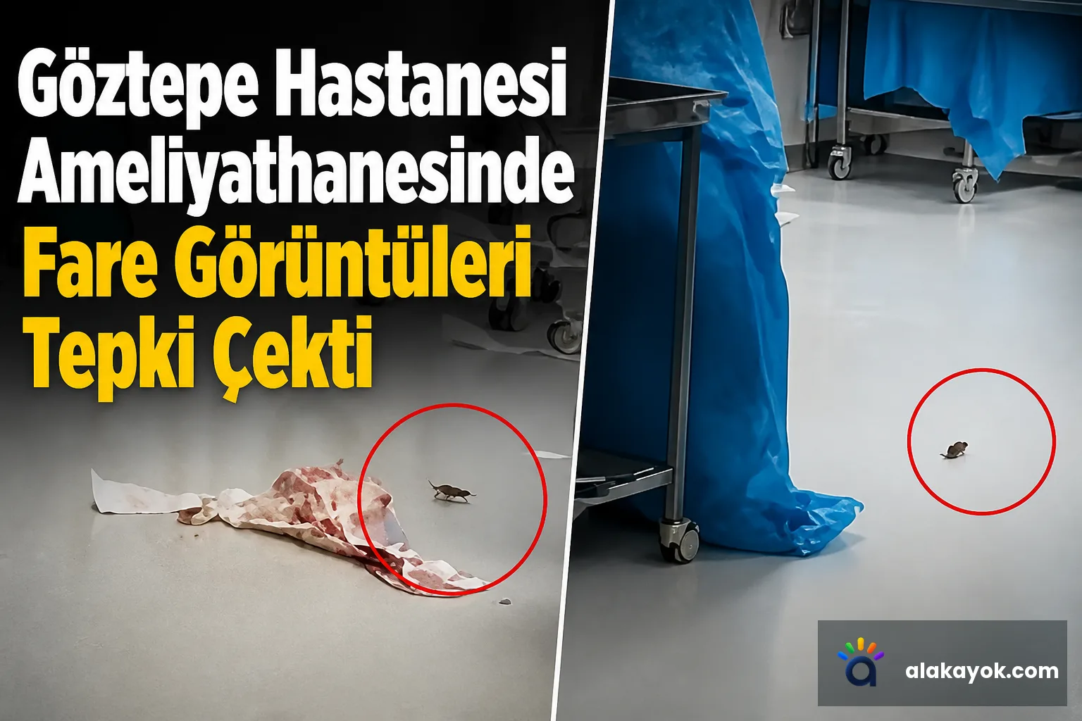 Göztepe Hastanesi Ameliyathanesinde Fare Görüntüleri Tepki Çekti