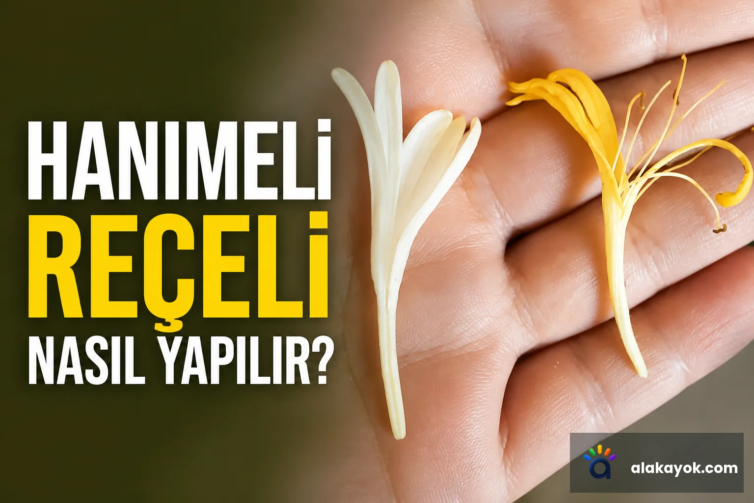 Hanımeli Reçeli Nasıl Yapılır?
