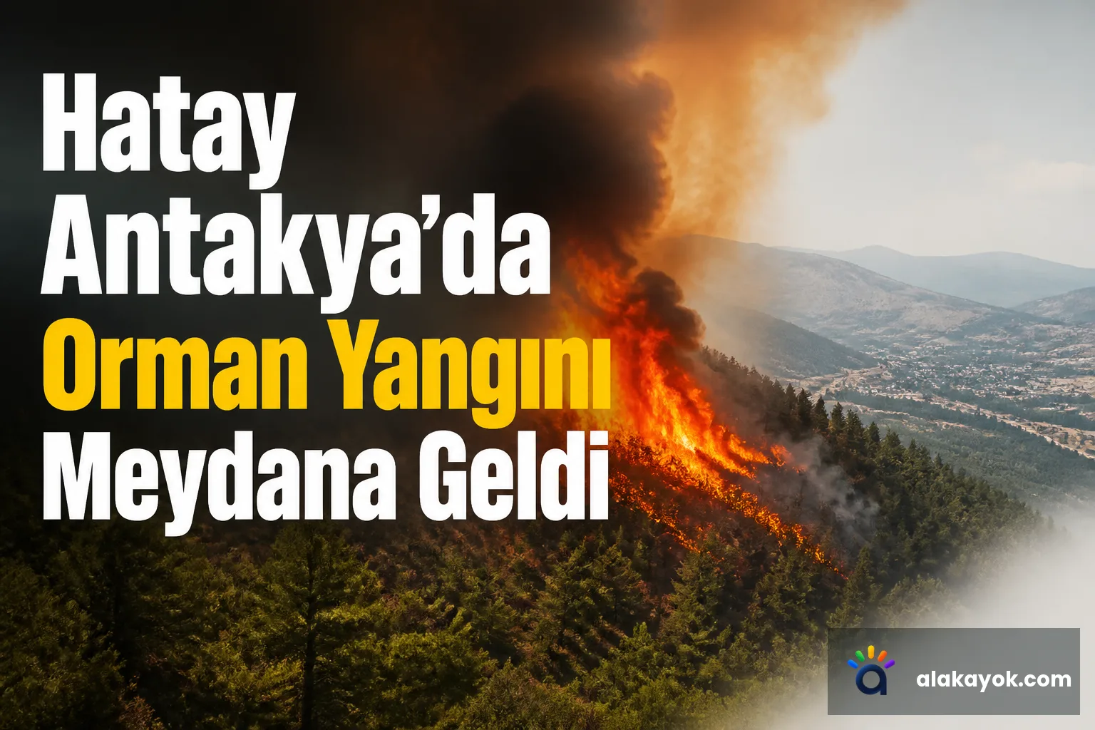Hatay Antakya'da Orman Yangını Meydana Geldi