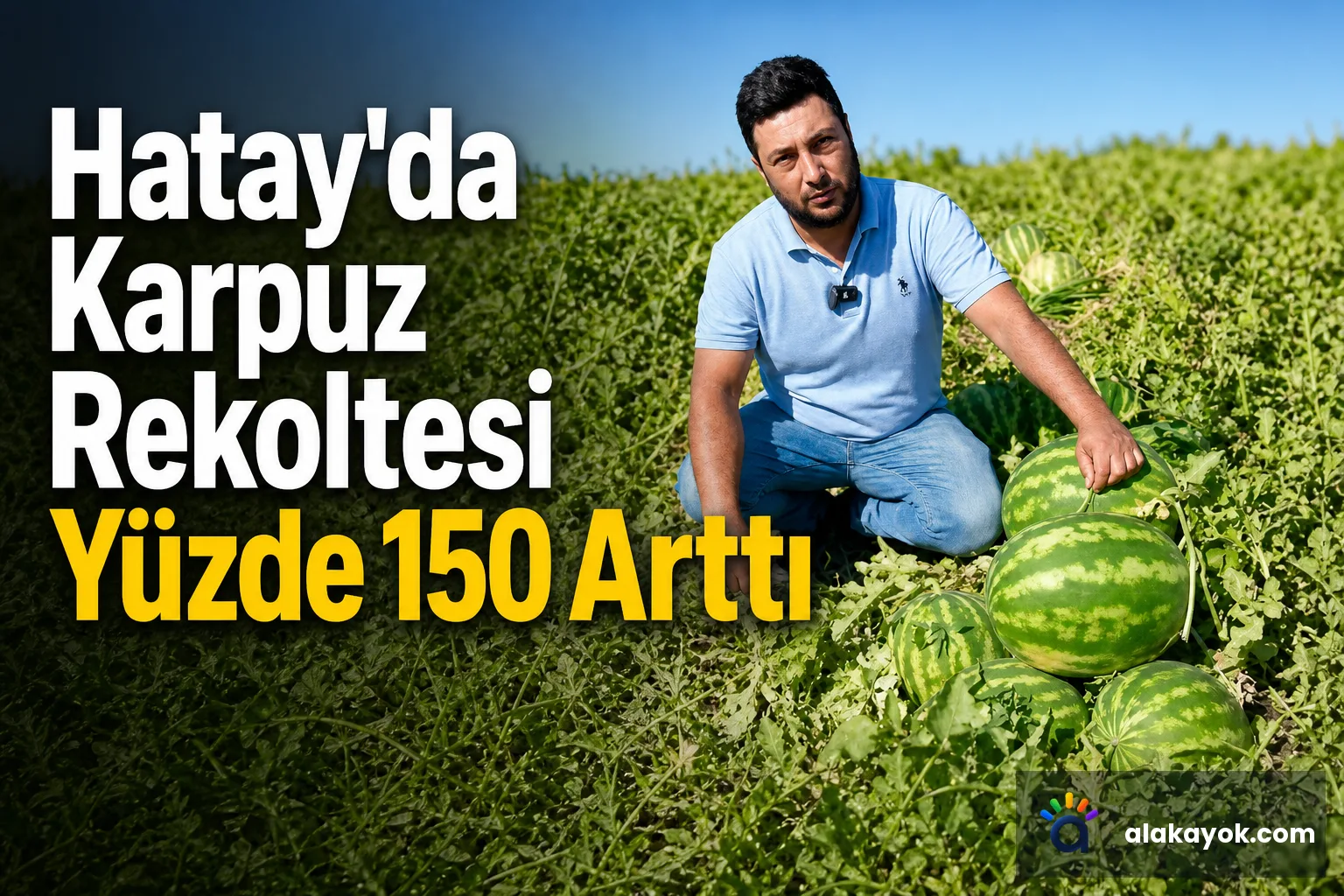 Hatay'da Karpuz Rekoltesi Yüzde 150 Arttı