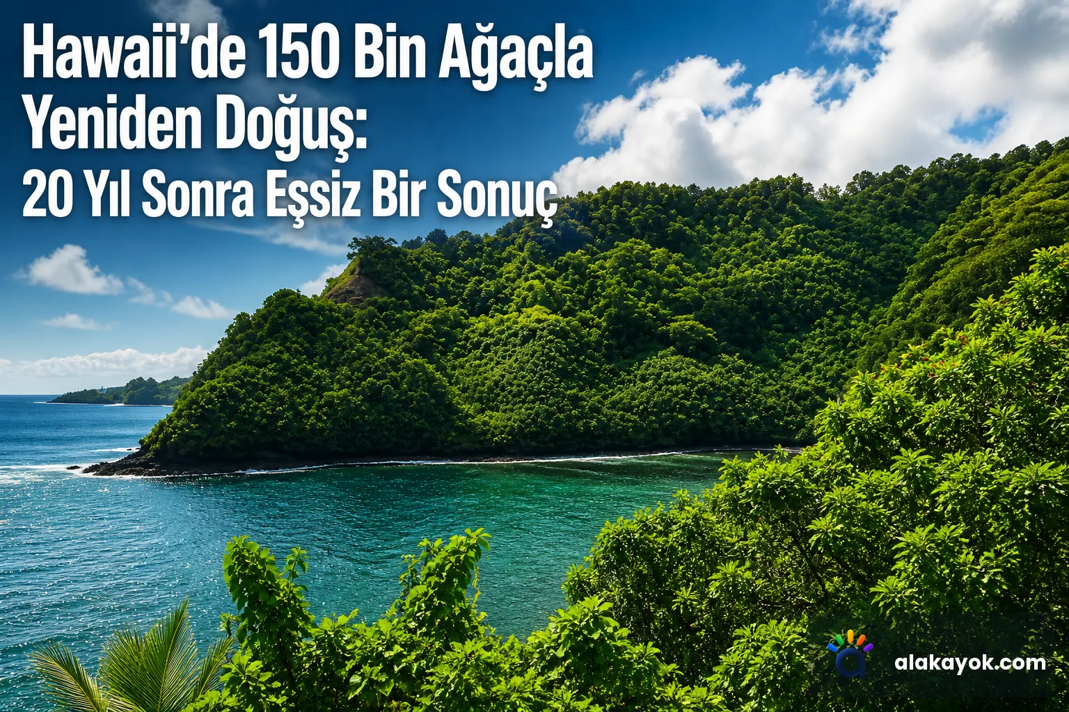 Hawaii'de 150 Bin Ağaçla Yeniden Doğuş: 20 Yıl Sonra Eşsiz Bir Sonuç