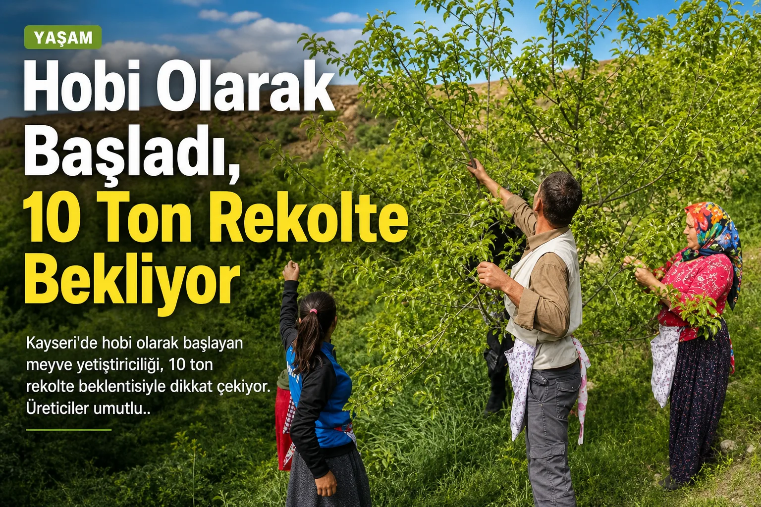 Hobi Olarak Başladı, 10 Ton Rekolte Bekliyor