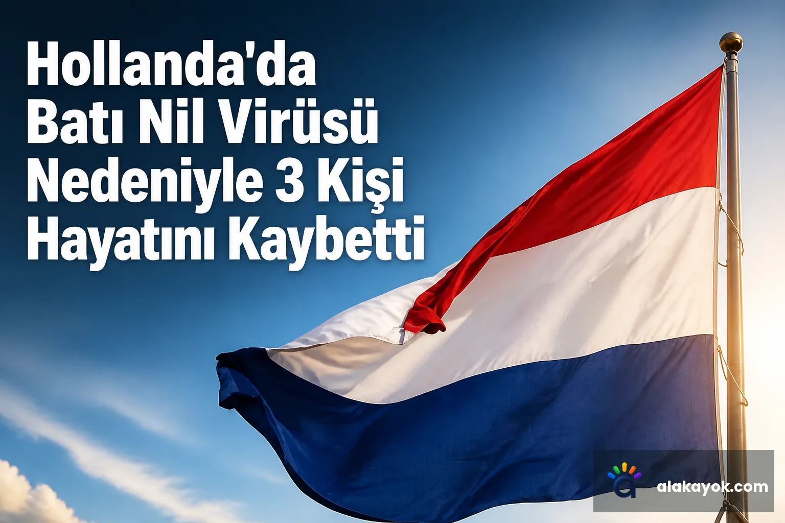 Hollanda'da Batı Nil Virüsü Nedeniyle 3 Kişi Hayatını Kaybetti