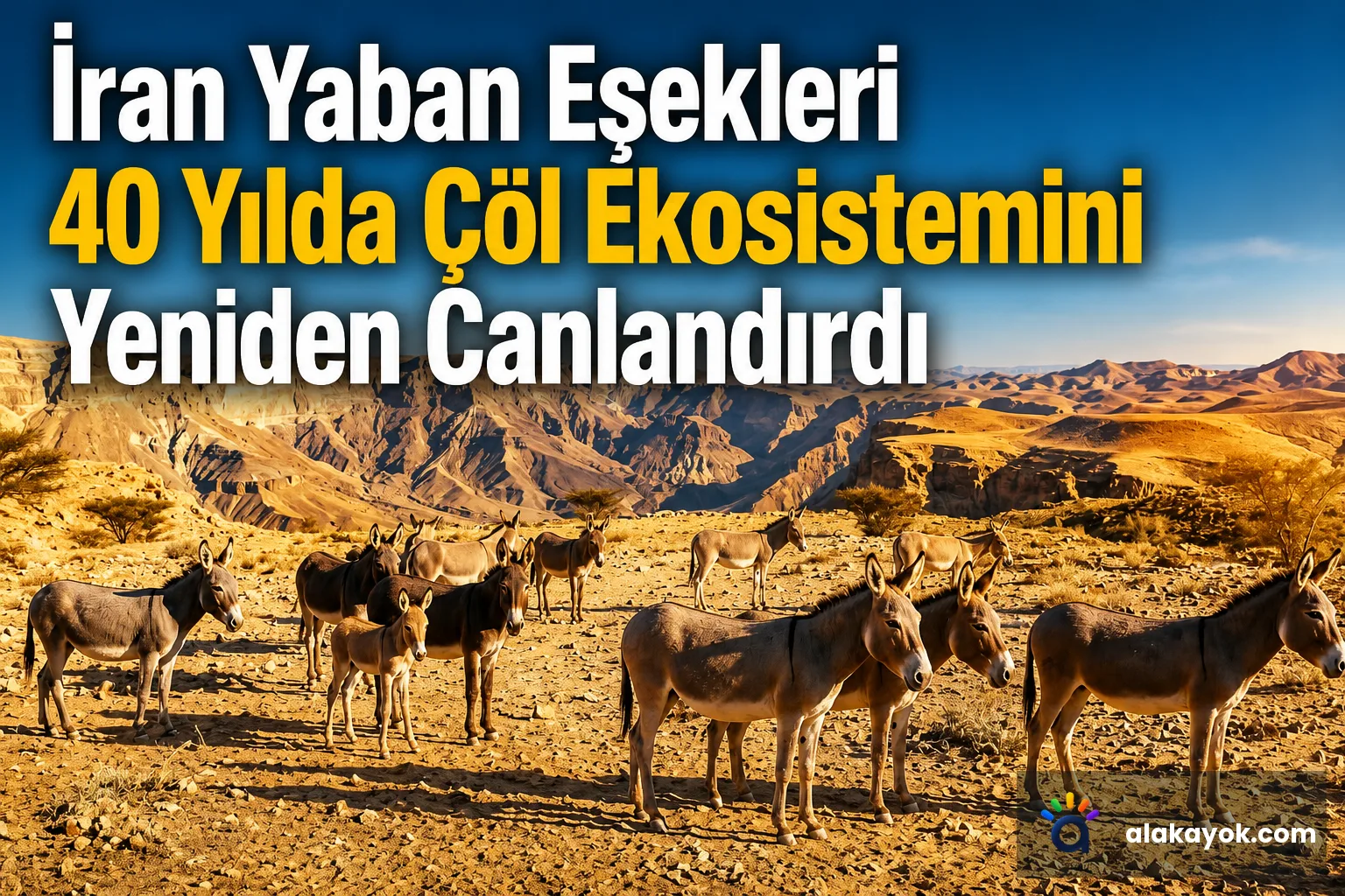 İran Yaban Eşekleri 40 Yılda Çöl Ekosistemini Yeniden Canlandırdı