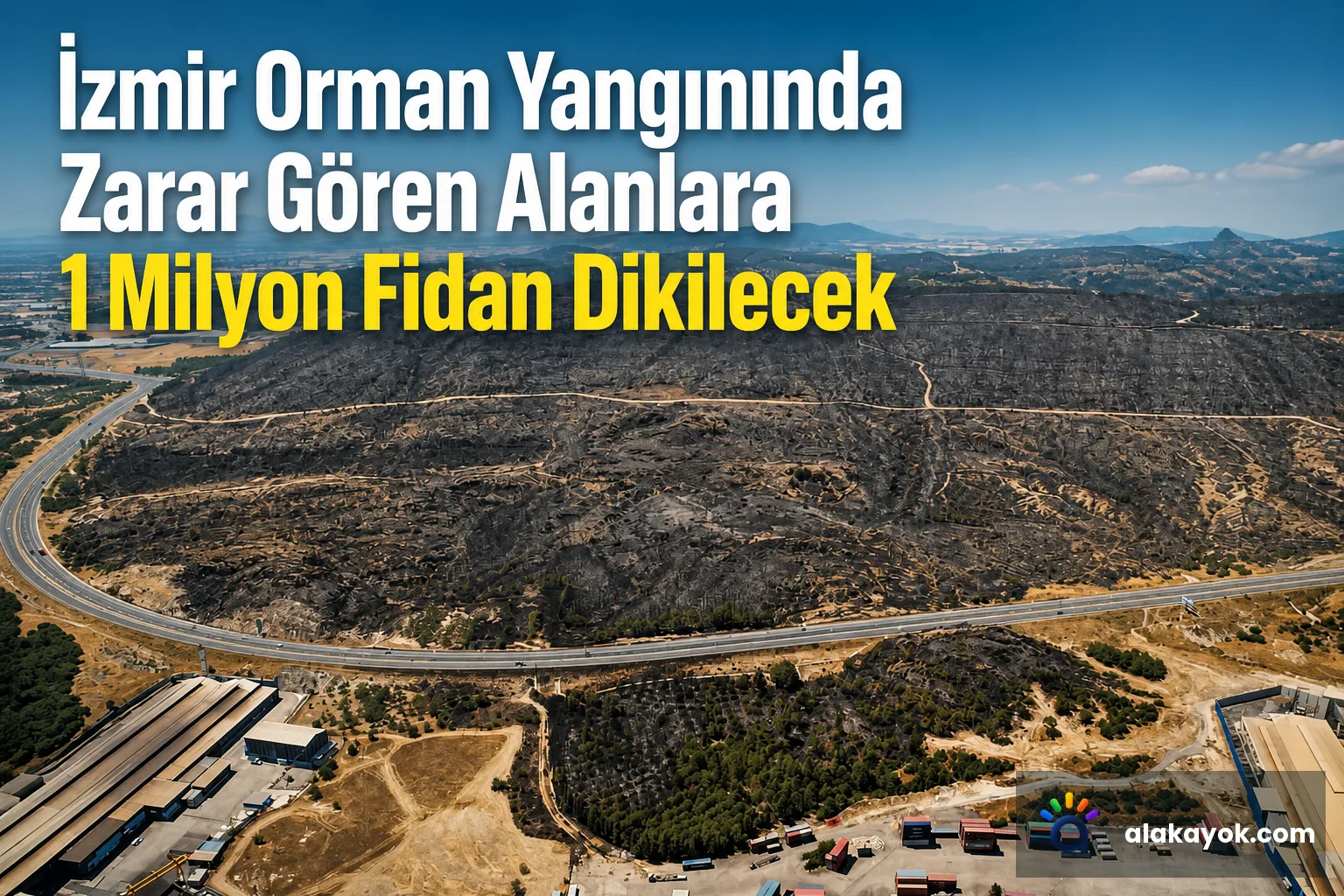 İzmir Orman Yangınında Zarar Gören Alanlara 1 Milyon Fidan Dikilecek