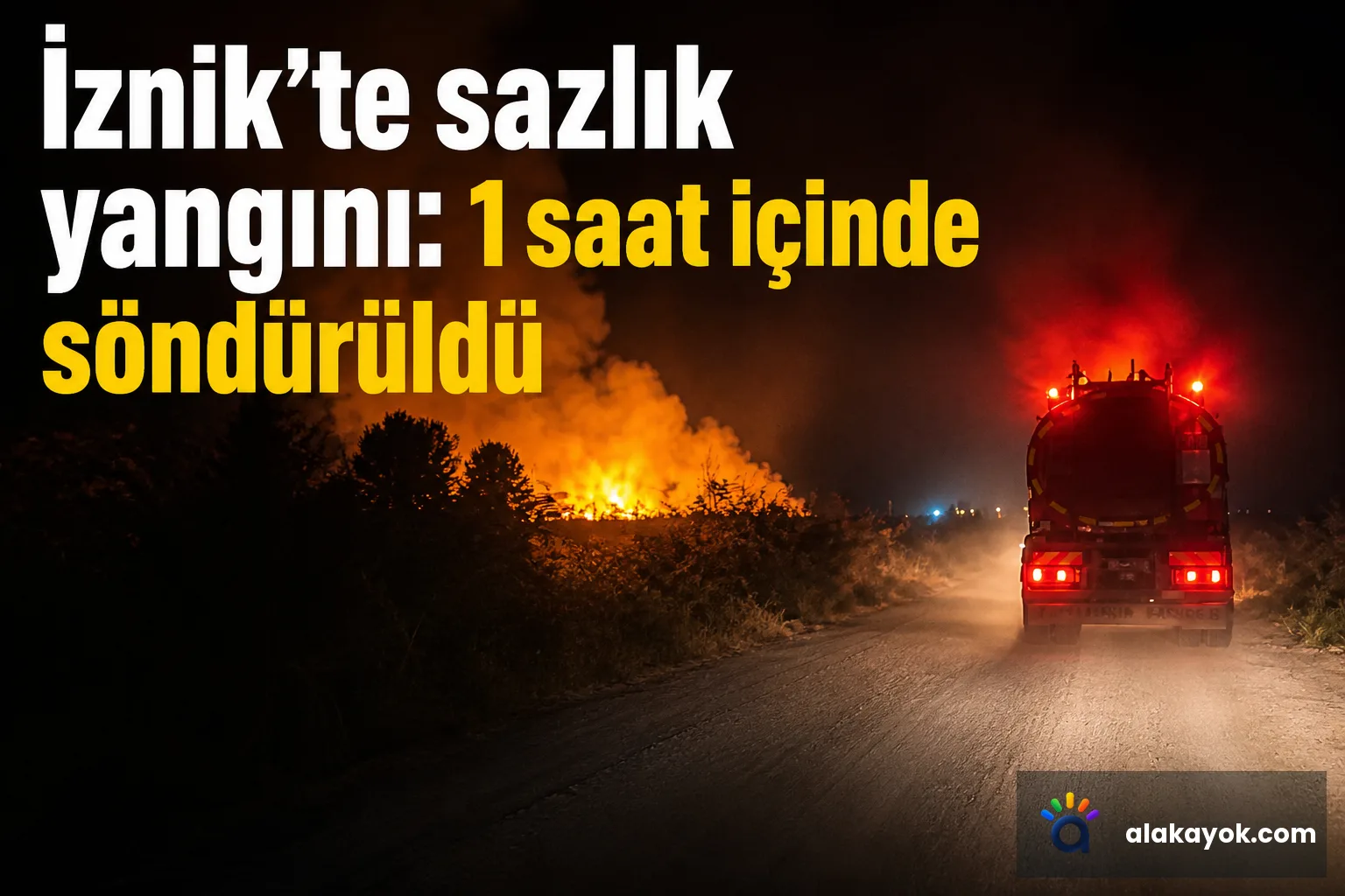 İznik'te sazlık yangını: 1 saat içinde söndürüldü