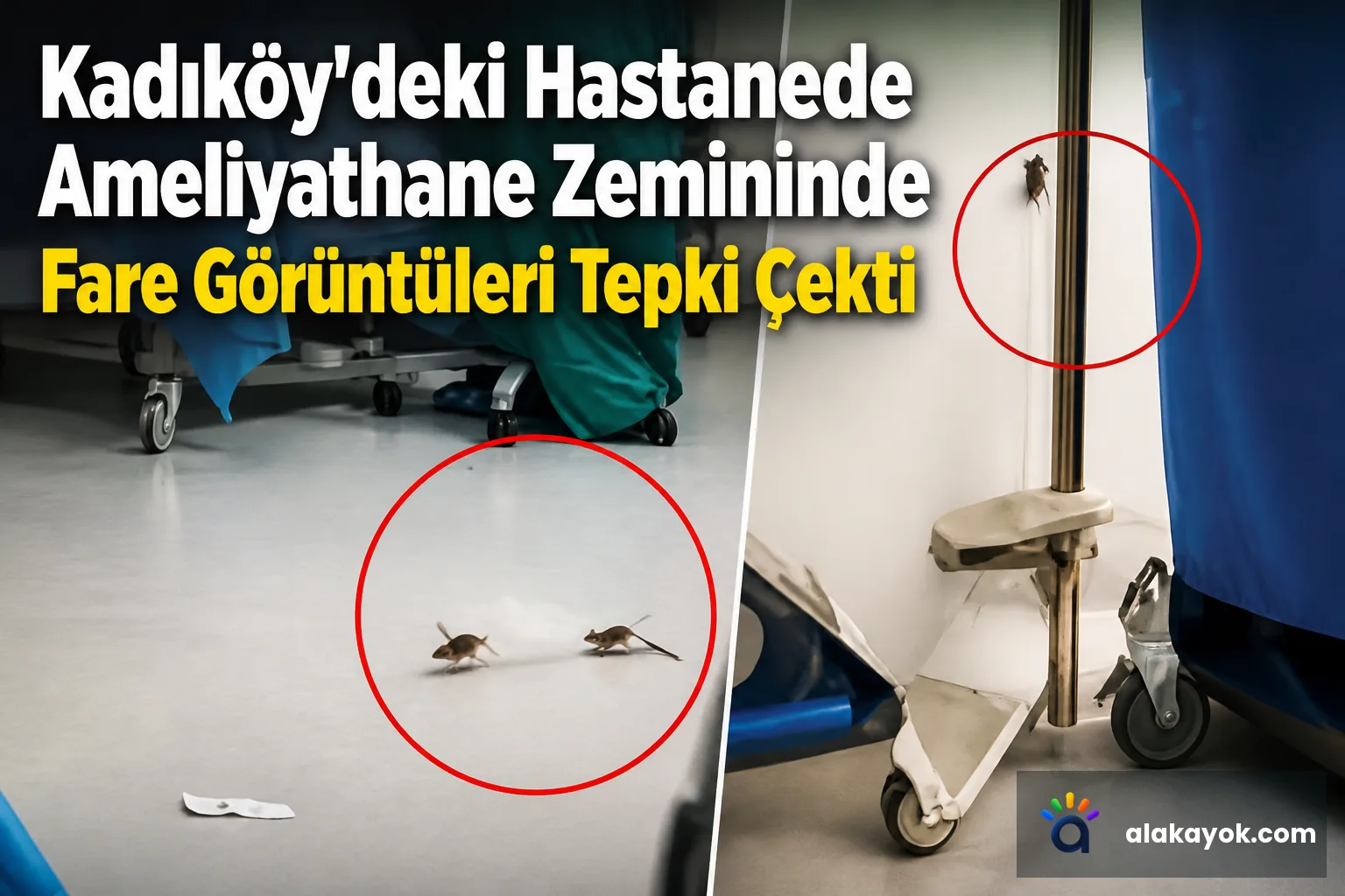 Kadıköy'deki Hastanede Ameliyathane Zemininde Fare Görüntüleri Tepki Çekti