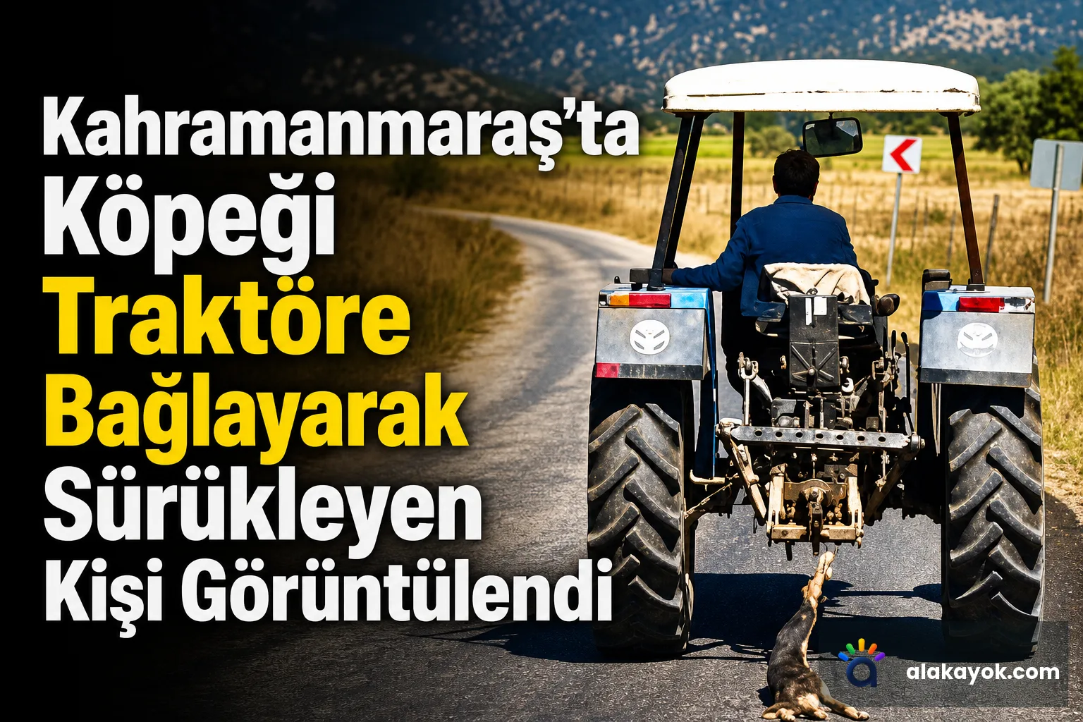 Kahramanmaraş'ta Köpeği Traktöre Bağlayarak Sürükleyen Kişi Görüntülendi
