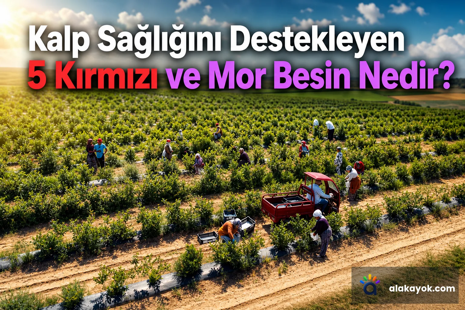 Kalp Sağlığını Destekleyen 5 Kırmızı ve Mor Besin Nedir?