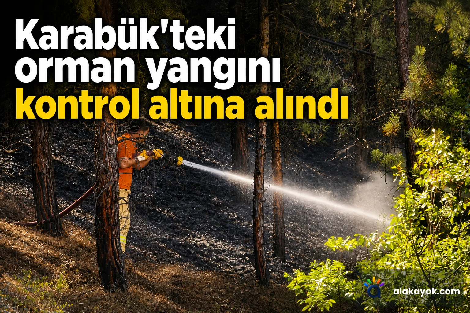 Karabük'teki orman yangını kontrol altına alındı