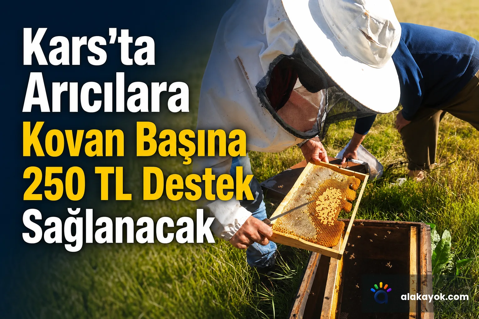 Kars’ta Arıcılara Kovan Başına 250 TL Destek Sağlanacak