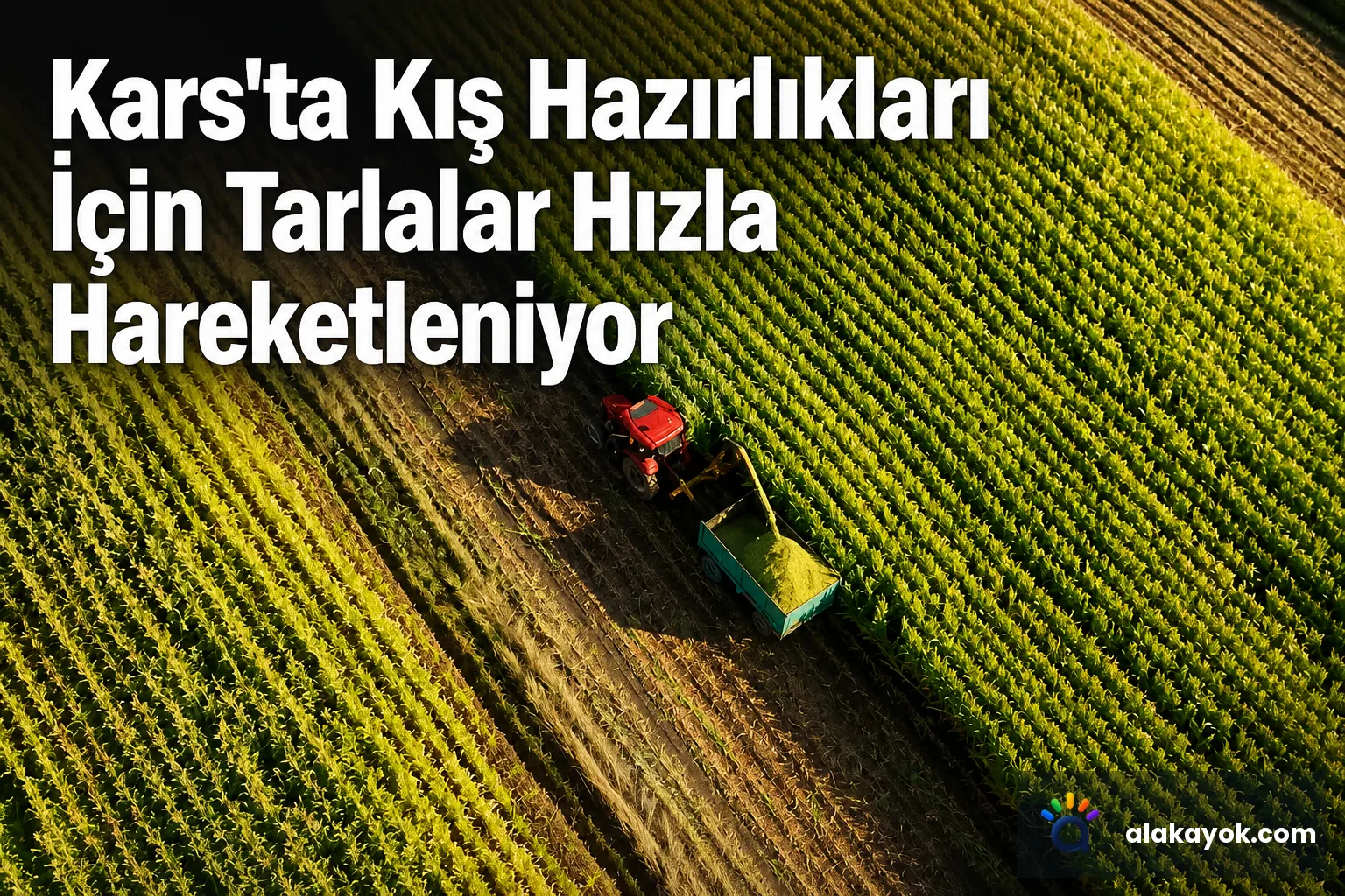 Kars'ta Kış Hazırlıkları İçin Tarlalar Hızla Hareketleniyor