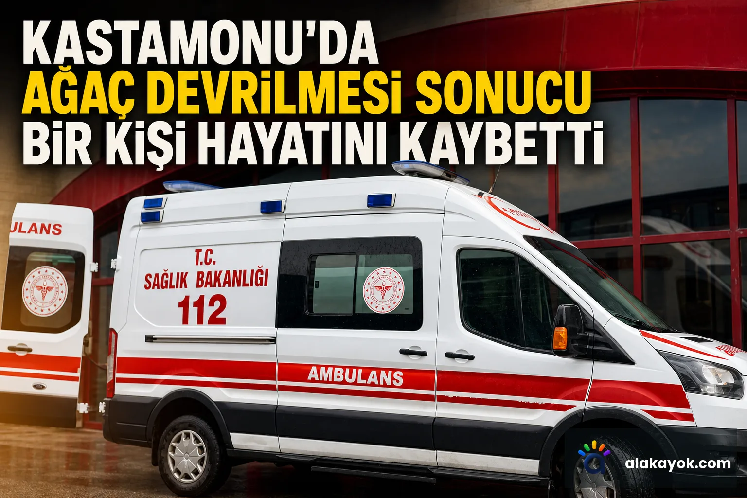 Kastamonu'da Ağaç Devrilmesi Sonucu Bir Kişi Hayatını Kaybetti