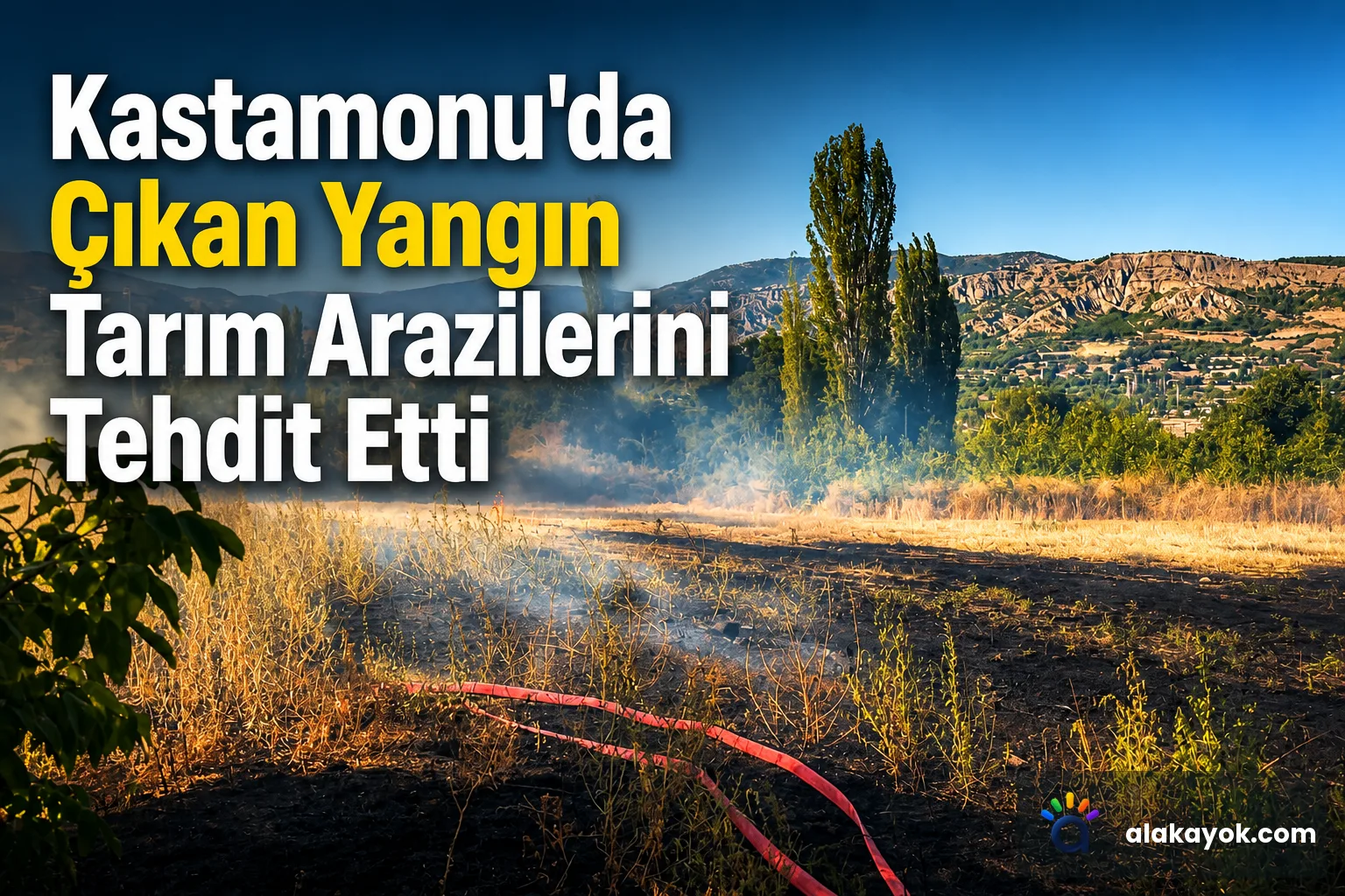 Kastamonu'da Çıkan Yangın Tarım Arazilerini Tehdit Etti