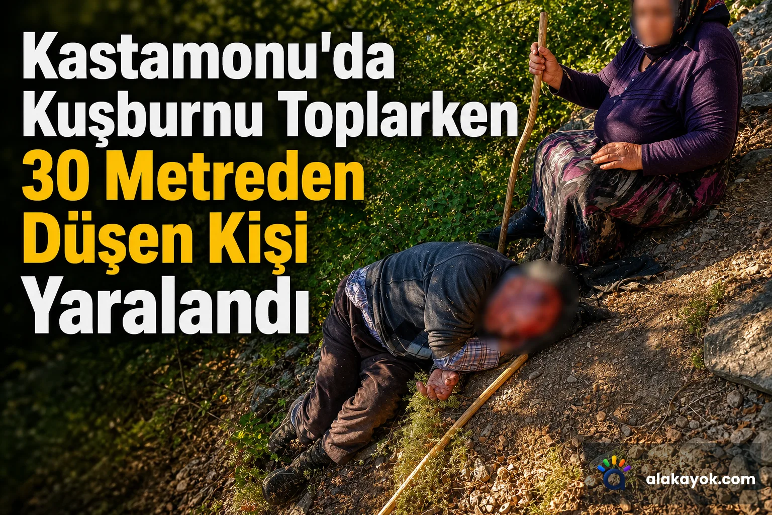 Kastamonu'da Kuşburnu Toplarken 30 Metreden Düşen Kişi Yaralandı