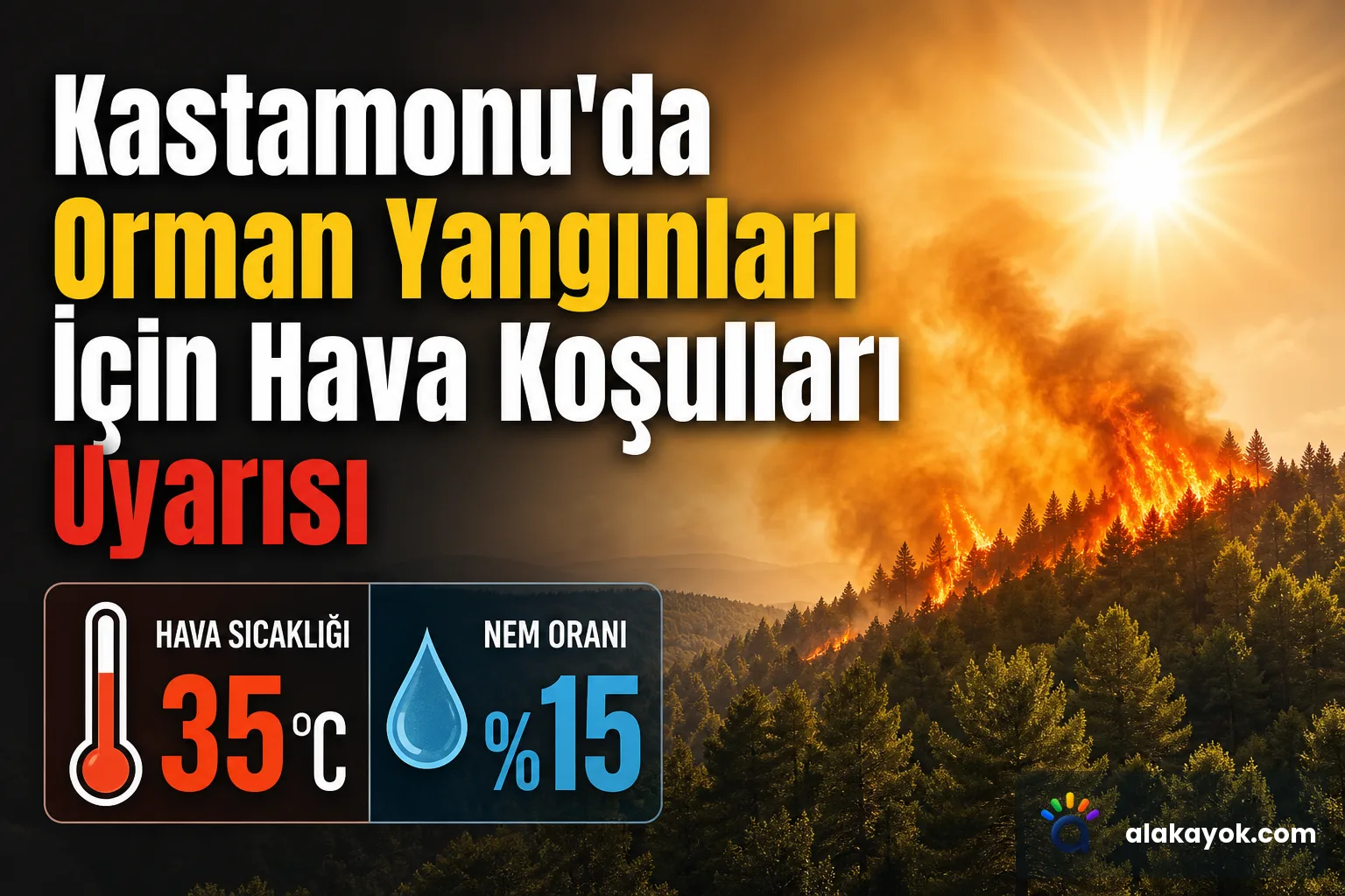 Kastamonu'da Orman Yangınları İçin Hava Koşulları Uyarısı