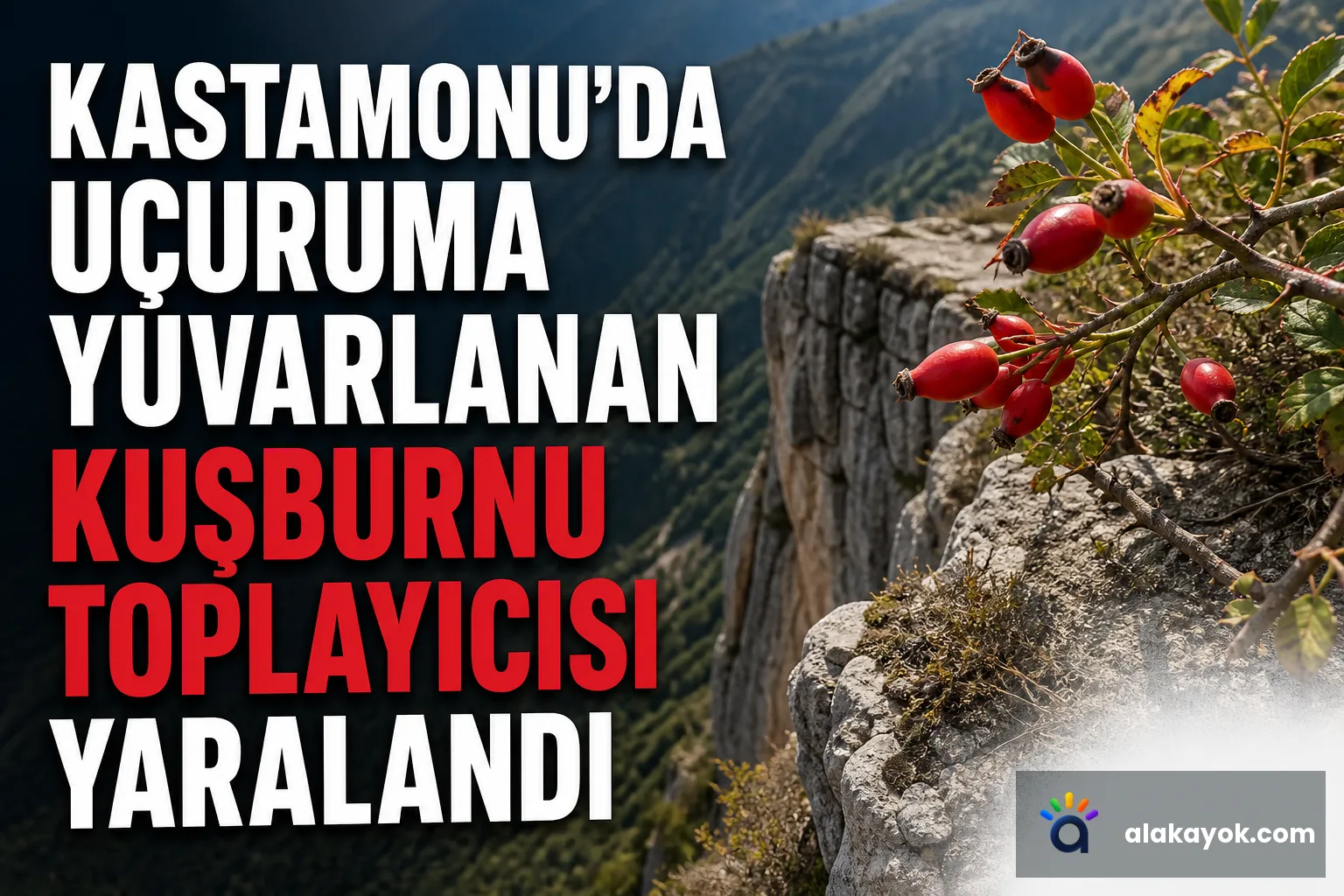 Kastamonu'da Uçuruma Yuvarlanan Kuşburnu Toplayıcısı Yaralandı