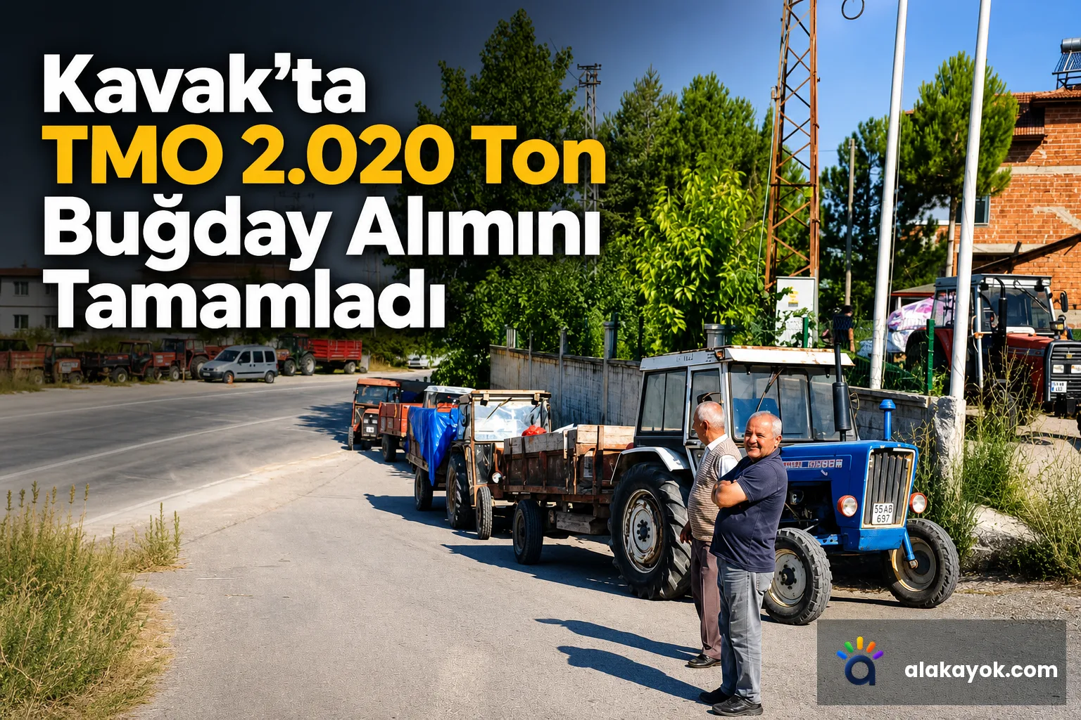 Kavak’ta TMO 2.020 Ton Buğday Alımını Tamamladı