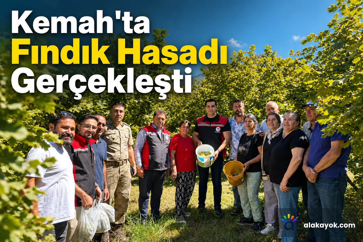 Kemah'ta Fındık Hasadı Gerçekleşti