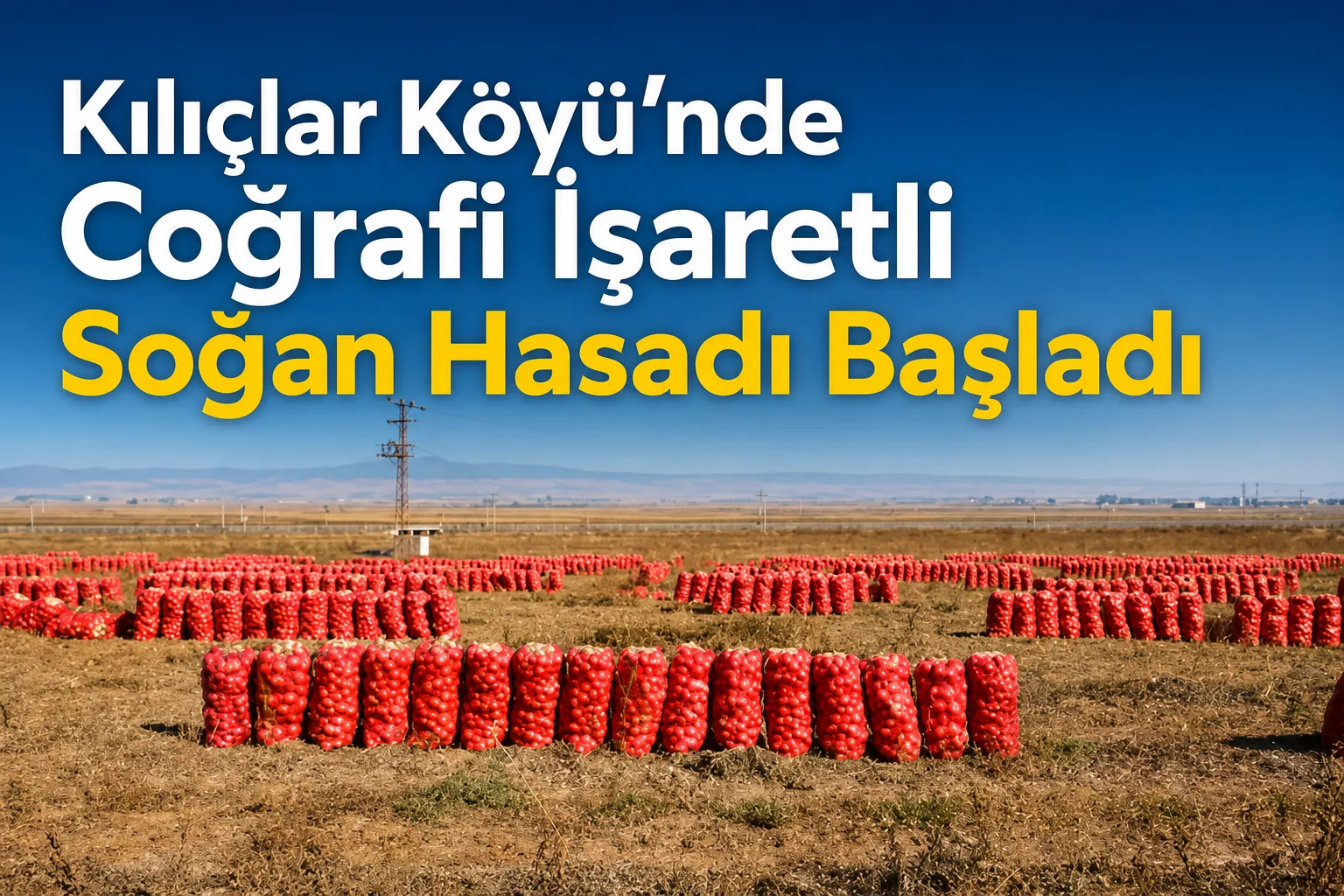 Kılıçlar Köyü'nde Coğrafi İşaretli Soğan Hasadı Başladı