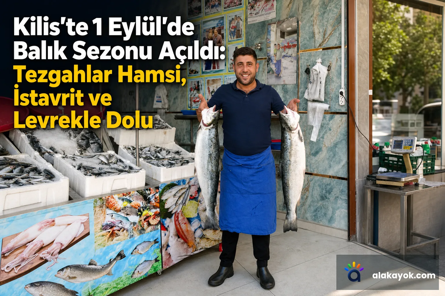 Kilis'te 1 Eylül'de Balık Sezonu Açıldı: Tezgahlar Hamsi, İstavrit ve Levrekle Dolu