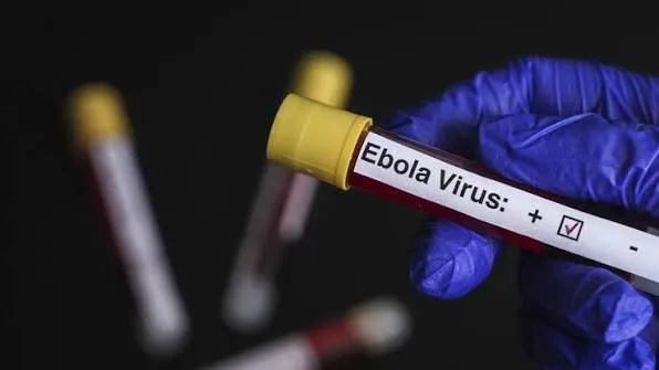 Kongo'da Ebola Salgını Kontrolden Çıkıyor: Ölü Sayısı 506'ya Ulaştı