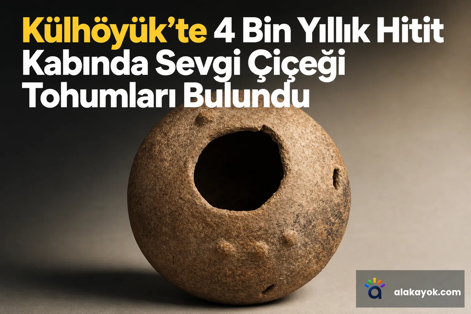 Külhöyük'te 4 Bin Yıllık Hitit Kabında Sevgi Çiçeği Tohumları Bulundu
