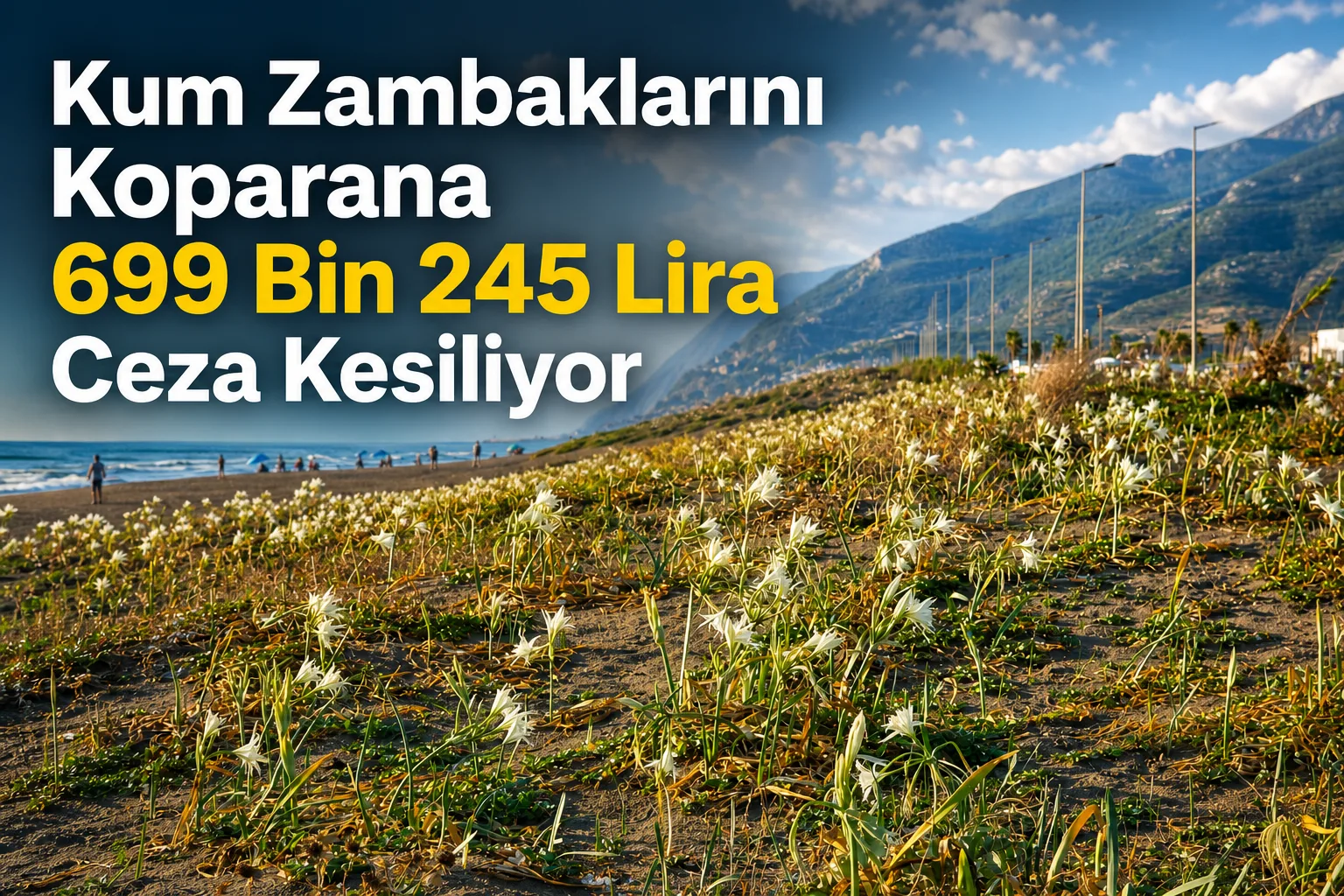 Kum Zambaklarını Koparana 699 Bin 245 Lira Ceza Kesiliyor