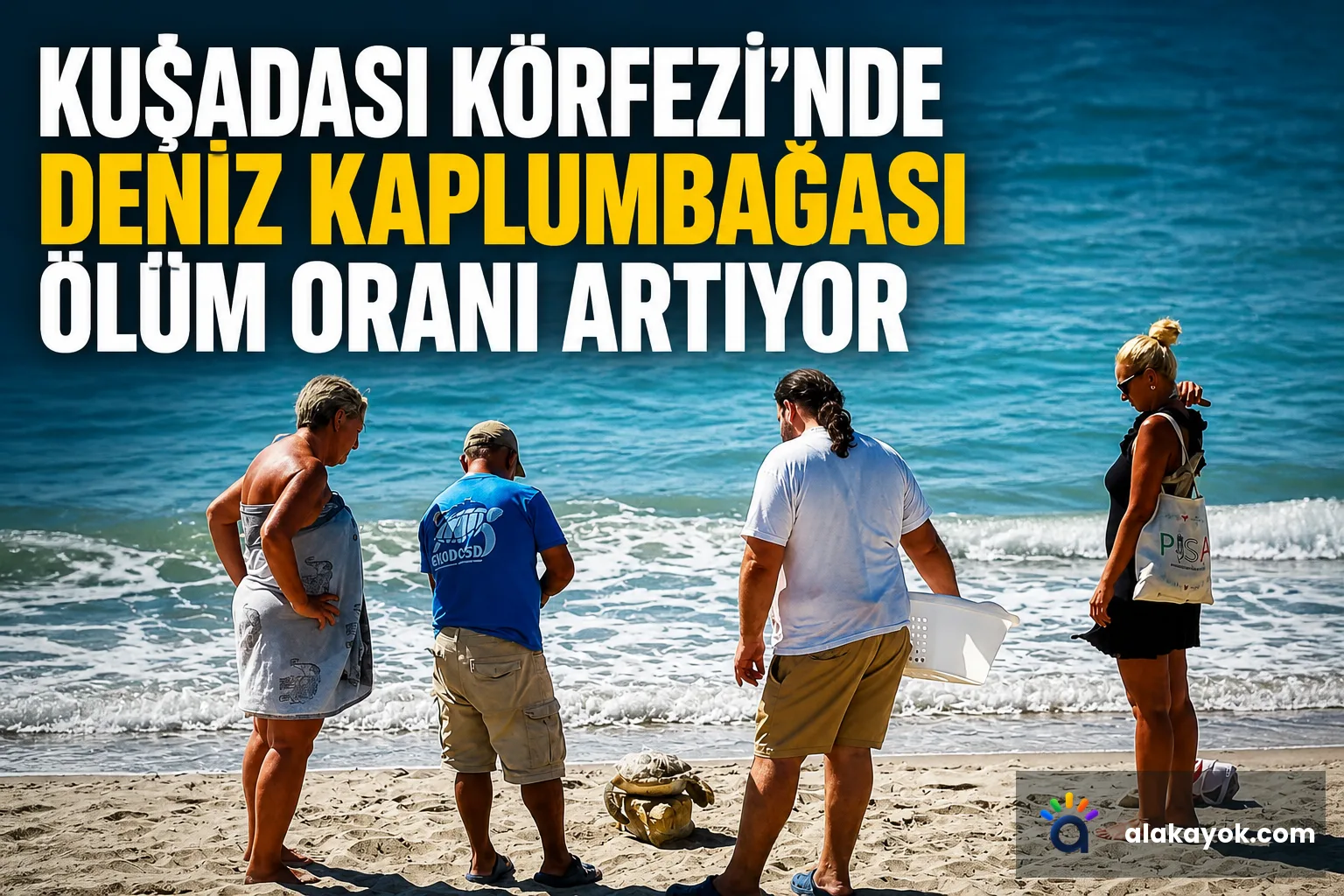Kuşadası Körfezi'nde Deniz Kaplumbağası Ölüm Oranı Artıyor