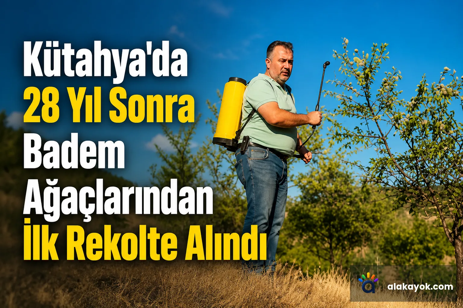 Kütahya'da 28 Yıl Sonra Badem Ağaçlarından İlk Rekolte Alındı