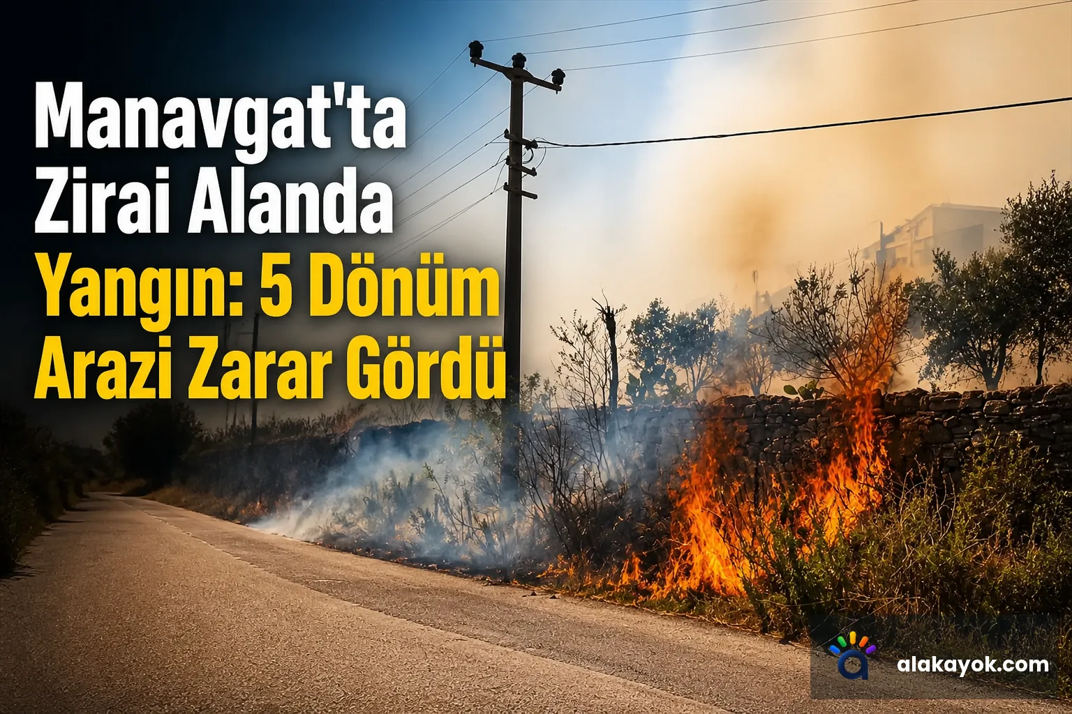 Manavgat'ta Zirai Alanda Yangın: 5 Dönüm Arazi Zarar Gördü