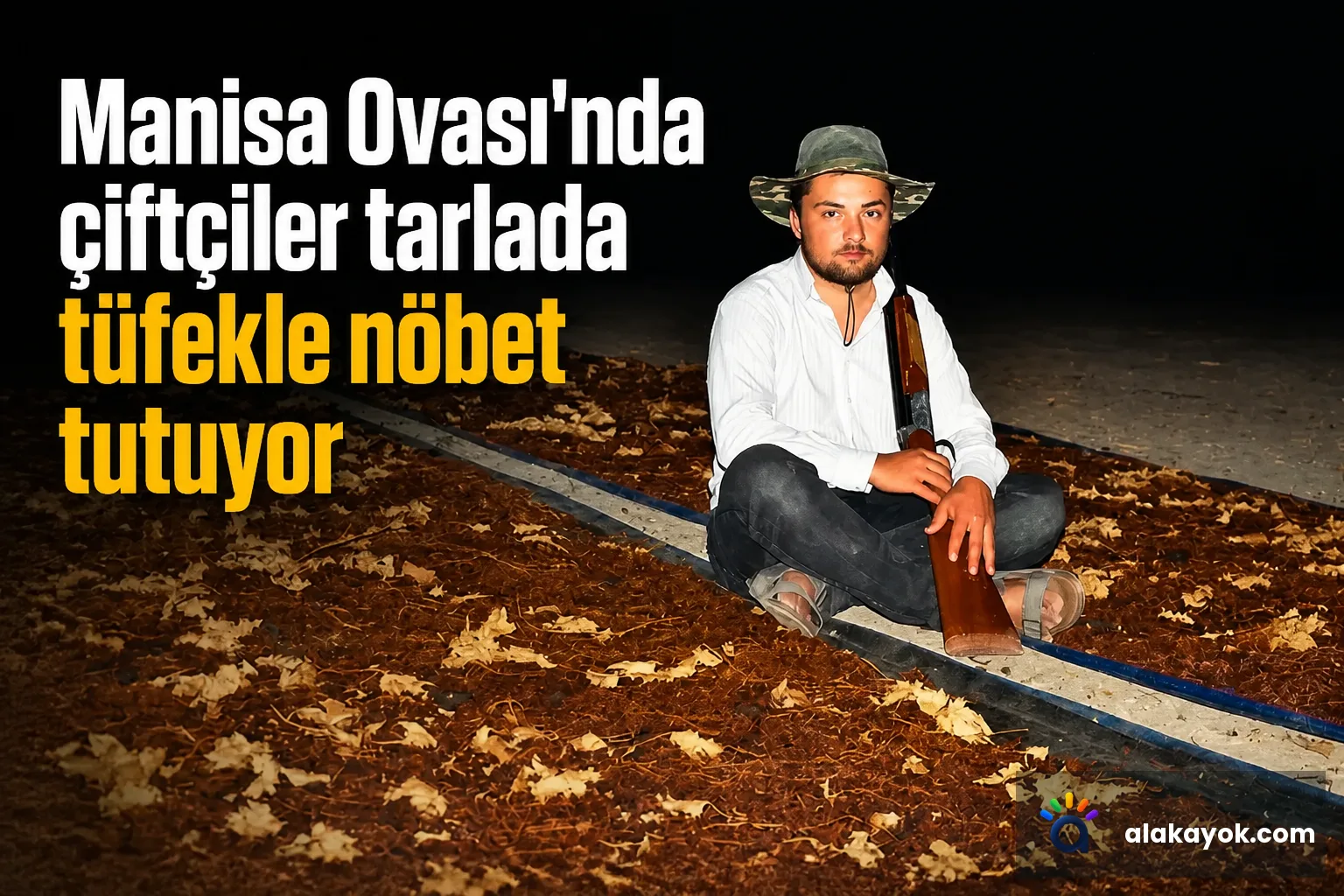 Manisa Ovası'nda çiftçiler tarlada tüfekle nöbet tutuyor